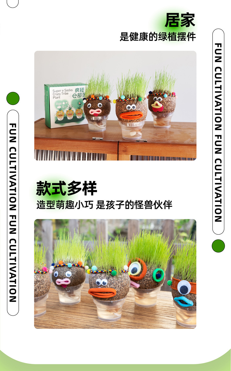 神奇袜草详情01 (8).jpg