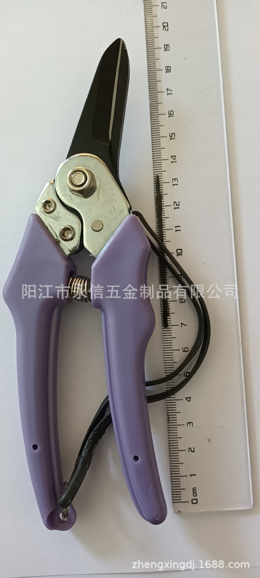 微信图片_20211026161559