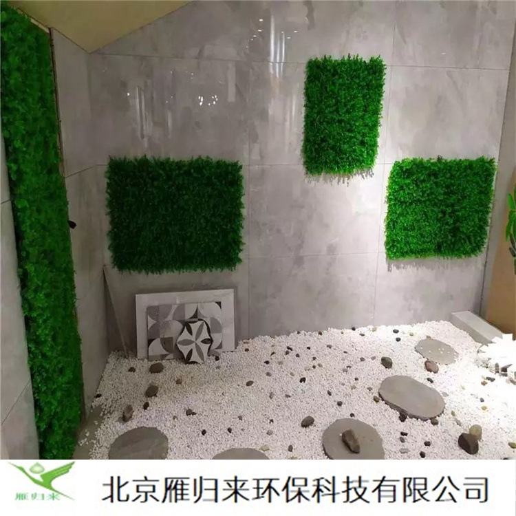 白色卵石