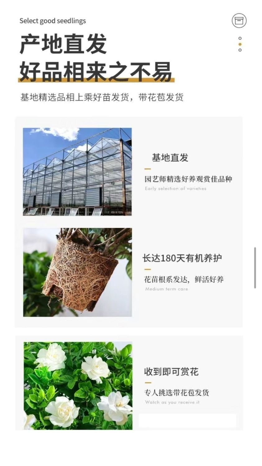 ebdc7676-c745-431b-a78b-c812abbb8e9b.jpe