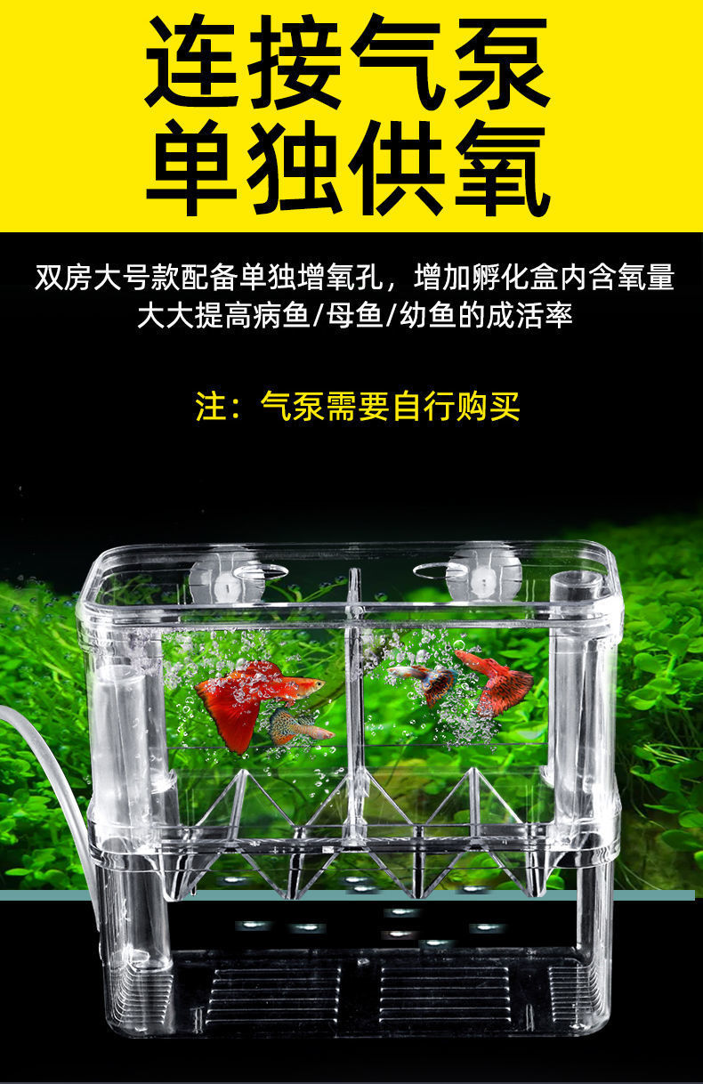 7f75a411-55fb-4ba0-a7c3-7b4c3387a664.jpe