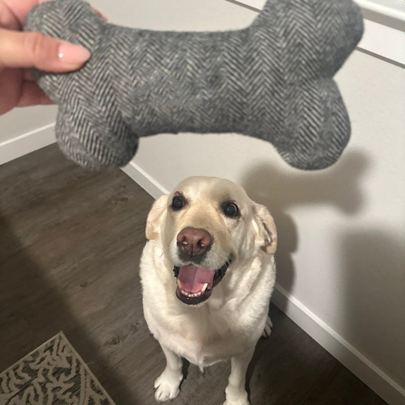 a50e9b1c-590f-4a36-9599-bc4327