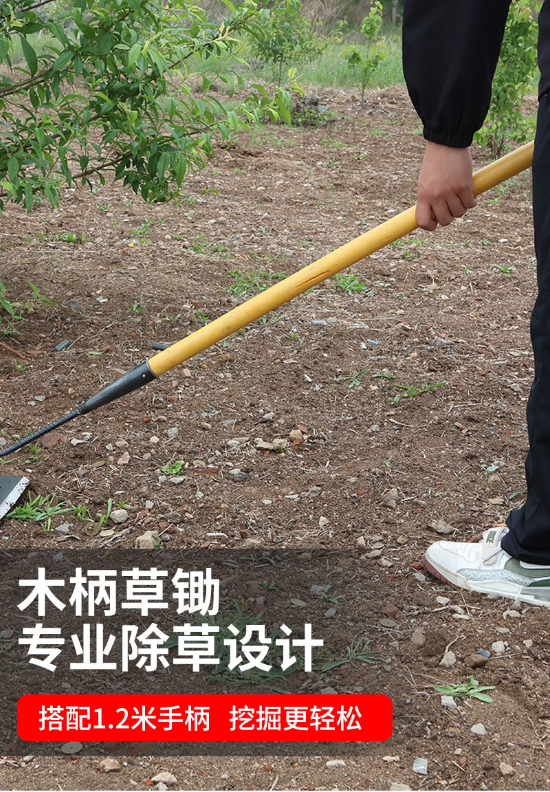 未标题-1_05.jpg