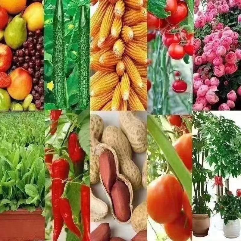 fb3ab27f-4715-48ca-9d13-3183d375b0fe.jpe