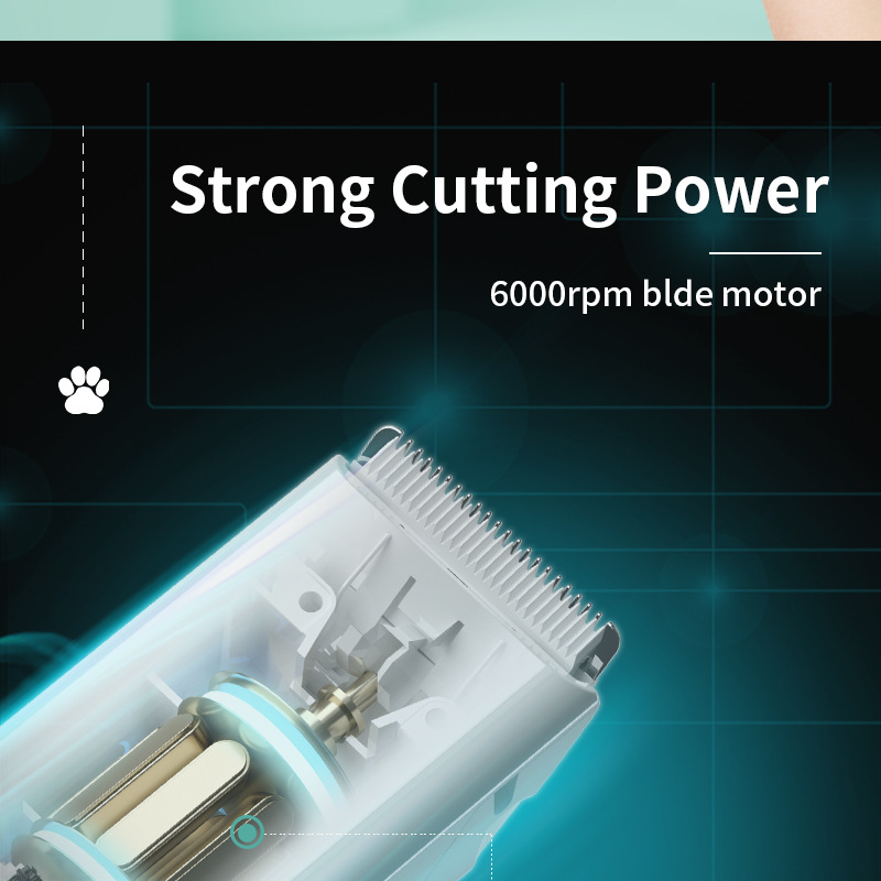 20210416LGL外贸版_05