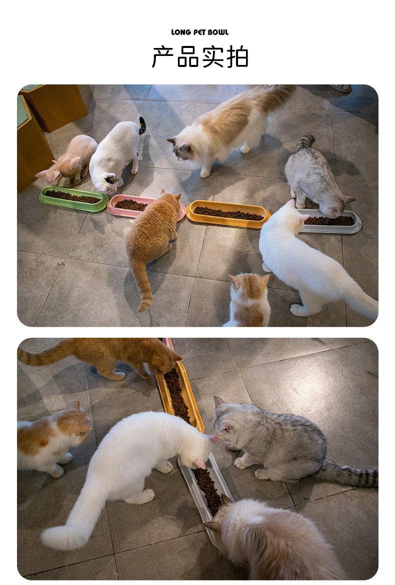 cf07e7ee-ab3e-4d12-b213-a950d46dd229.jpe