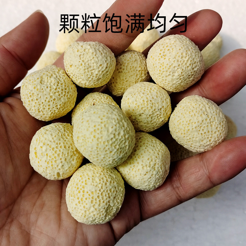 细菌球2