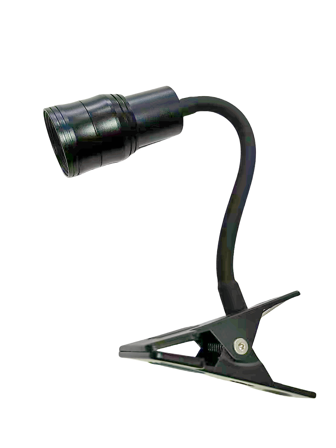 微信图片_202503131652202_副本