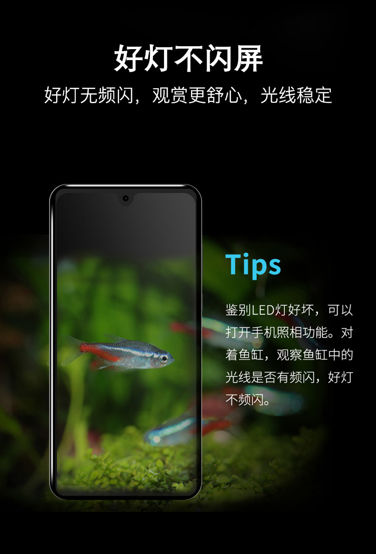 74885bf4-477c-40ee-a521-14b9766650dd.jpg