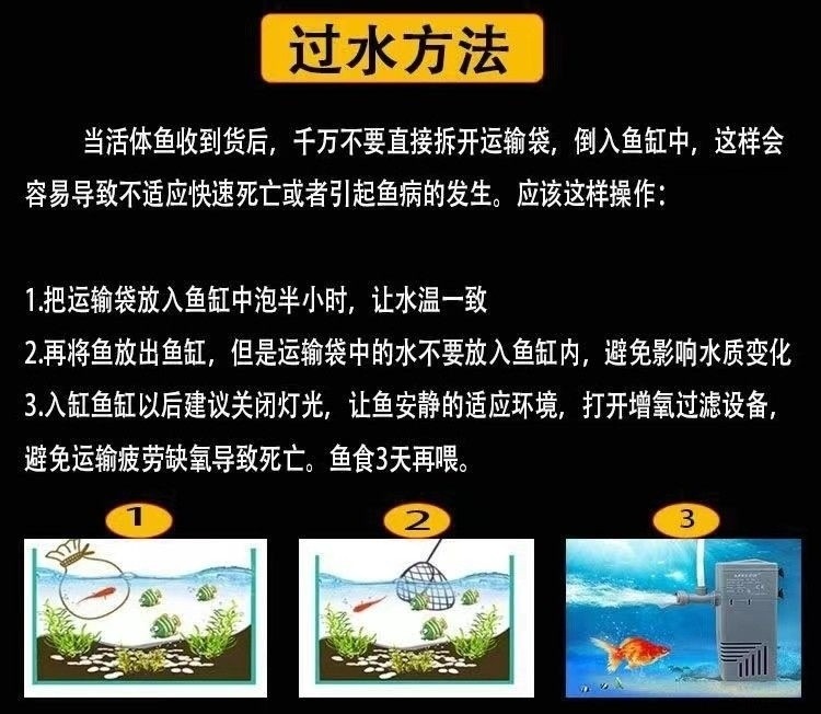 02e1712e-1282-402b-81db-e5511baf5ce5.jpe