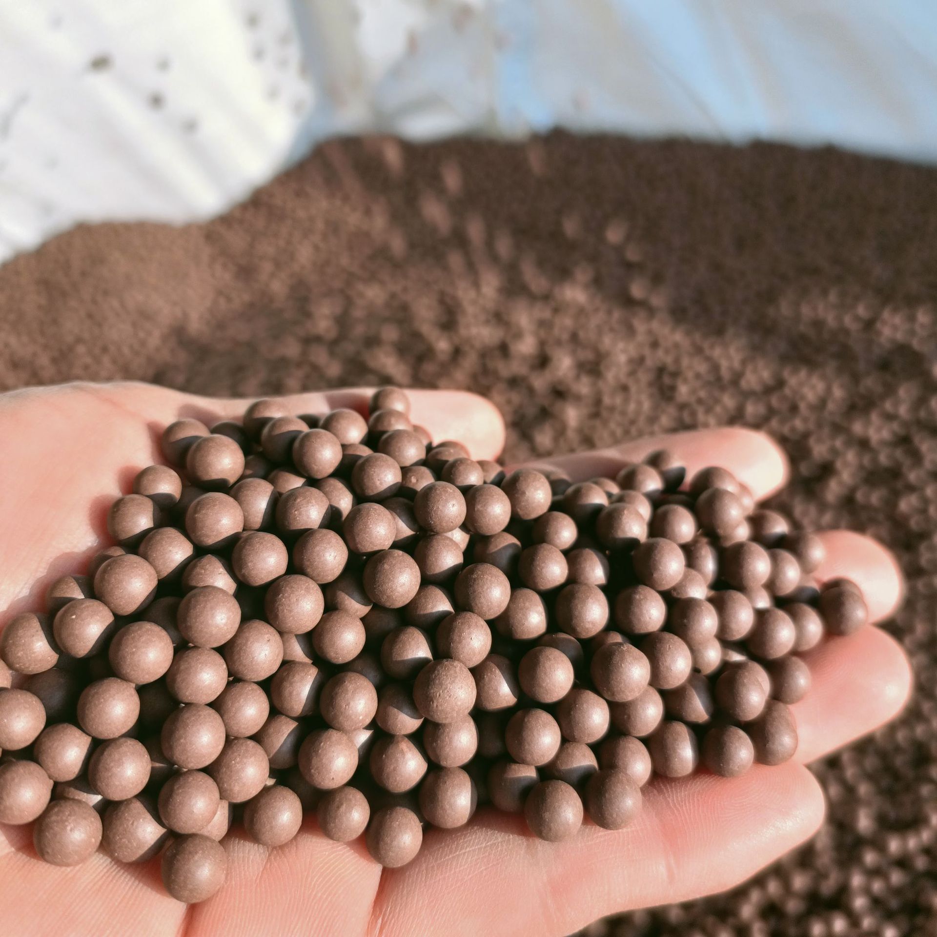 微信图片_20241228100336