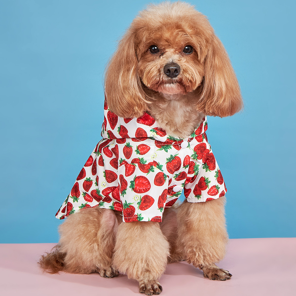 草莓印花宠物衣服 防水雨衣 欧康宠物用品