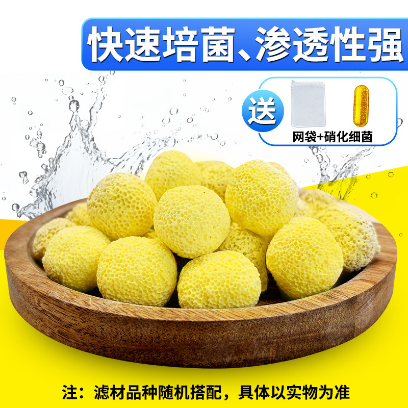 cdeb859a-18e3-48ba-8a1a-306c1da180cf.jpe