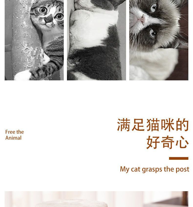 5013d0ba-0e43-4b03-8eaa-c4eaf951a839.jpe