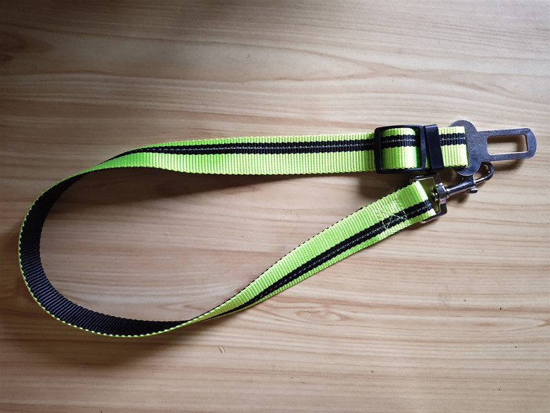 IMG_20190423_145248_副本