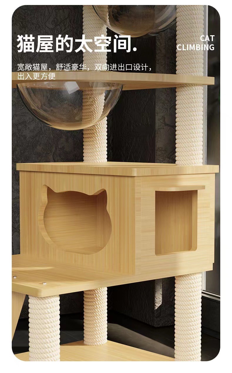 bb5ecf25-427f-438a-9e6c-8bab6cf7bf6d.jpe