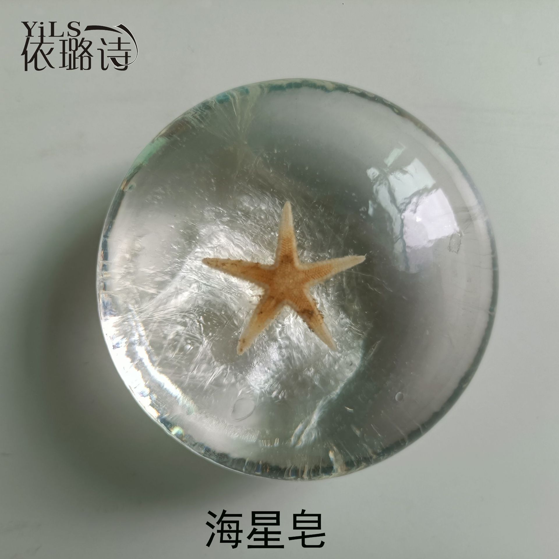新款海星.jpg