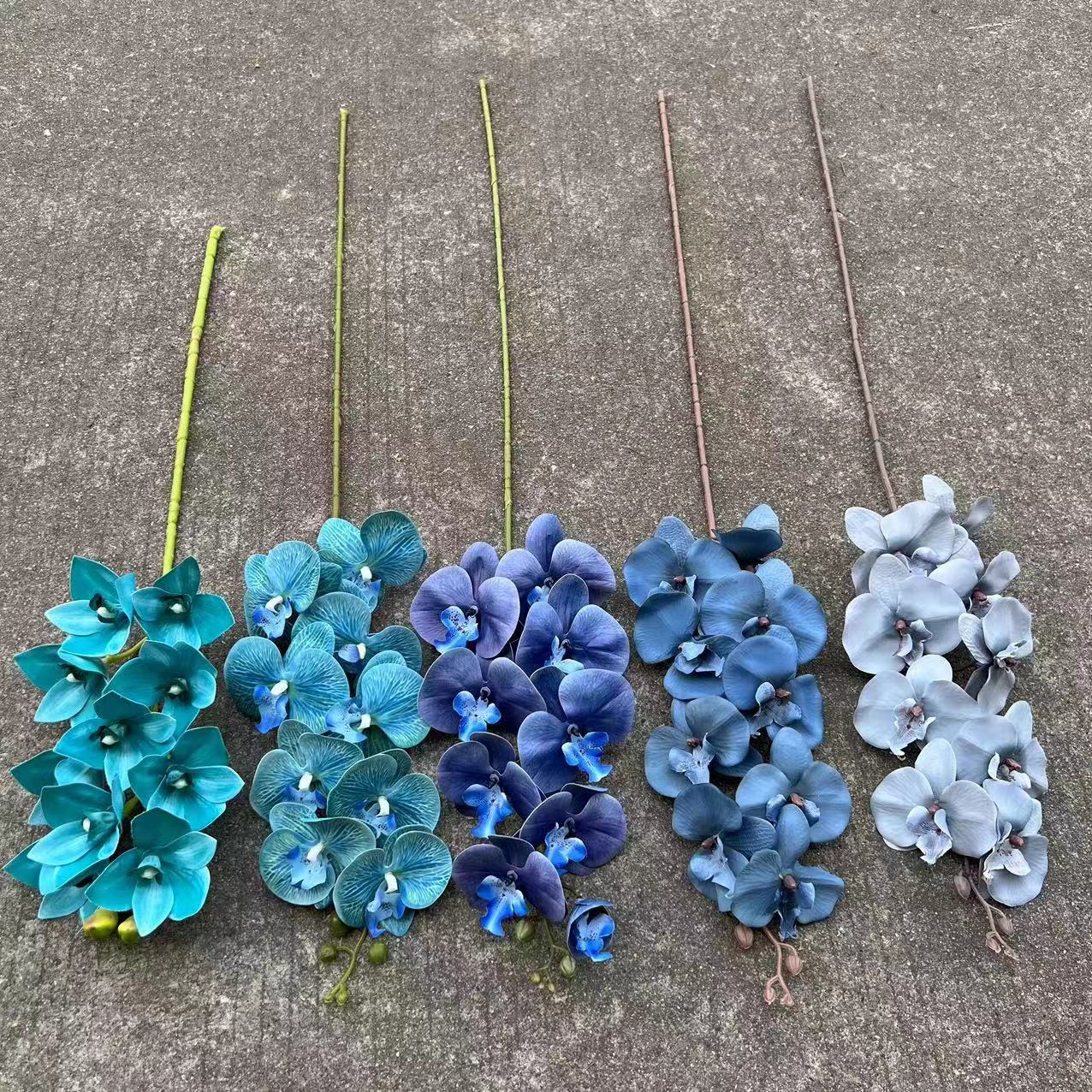 微信图片_20230516182144