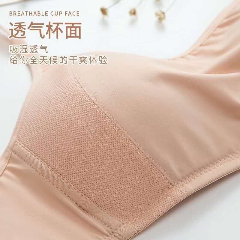 微信图片_20231206232329.jpg