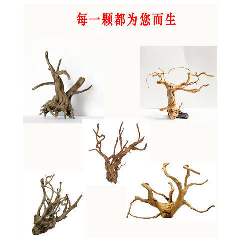 e39d57f5-de33-4c9d-b309-433af7f6800e.jpe