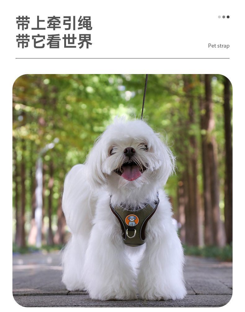 详情_10.jpg