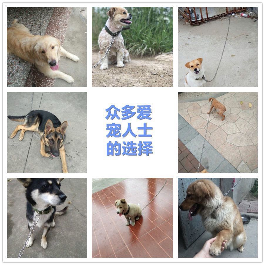 186a6205-85f8-4a91-9a22-c6df8f08c1f8.jpe