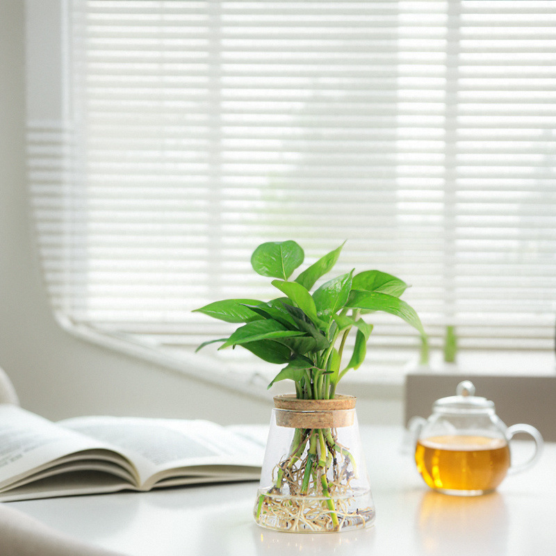 bb97dd90-15fd-4ef6-9fc3-00b61f3b1f04.jpe