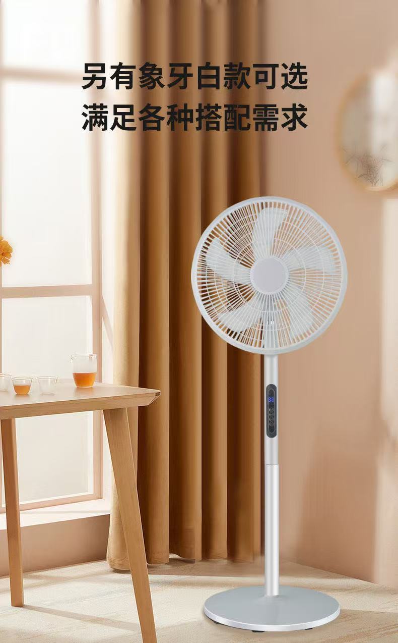 7357c08c-89ed-4888-99b6-5c8cb26c98d0.jpe
