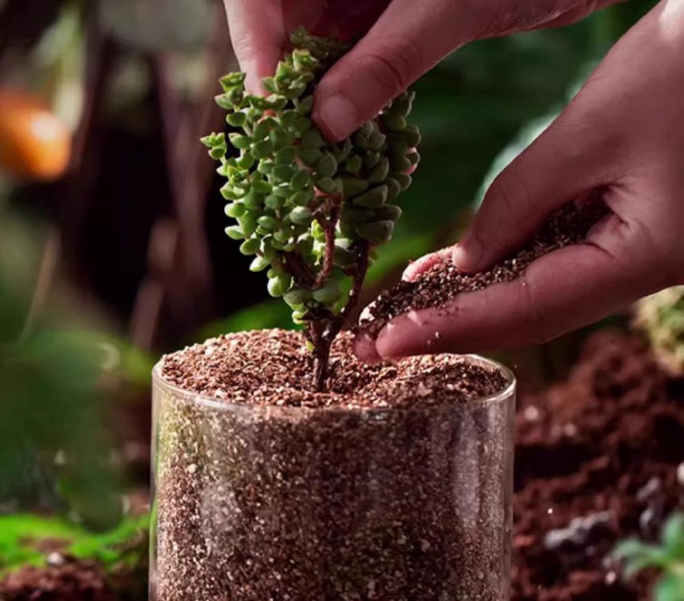 18882eae-1b58-4b67-b182-83966978174a.jpe