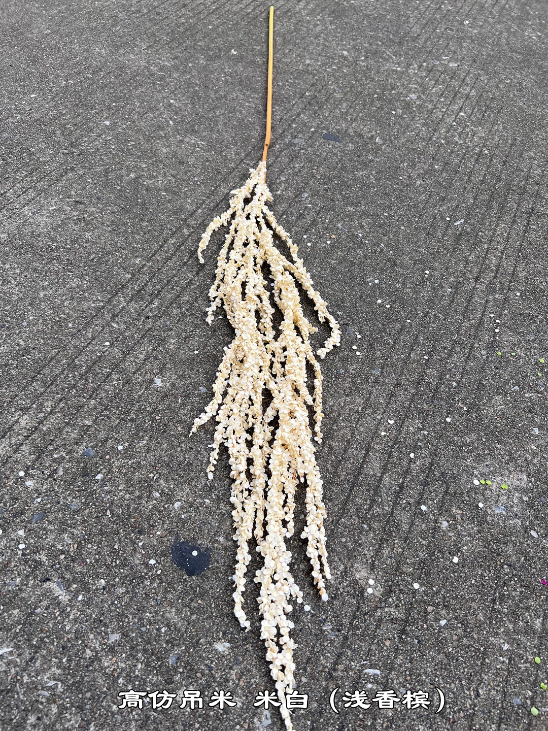 微信图片_20231030195626