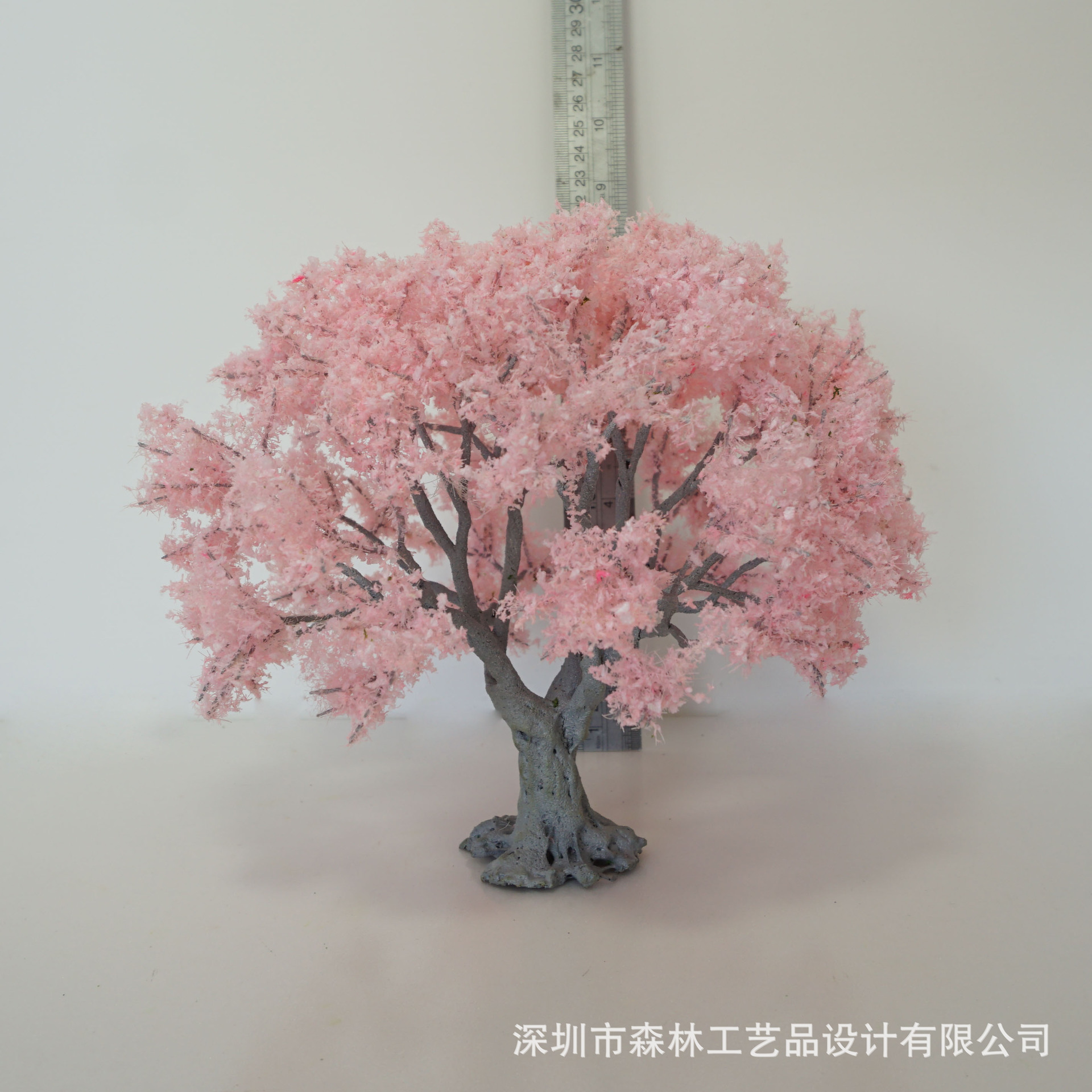 DSC03559