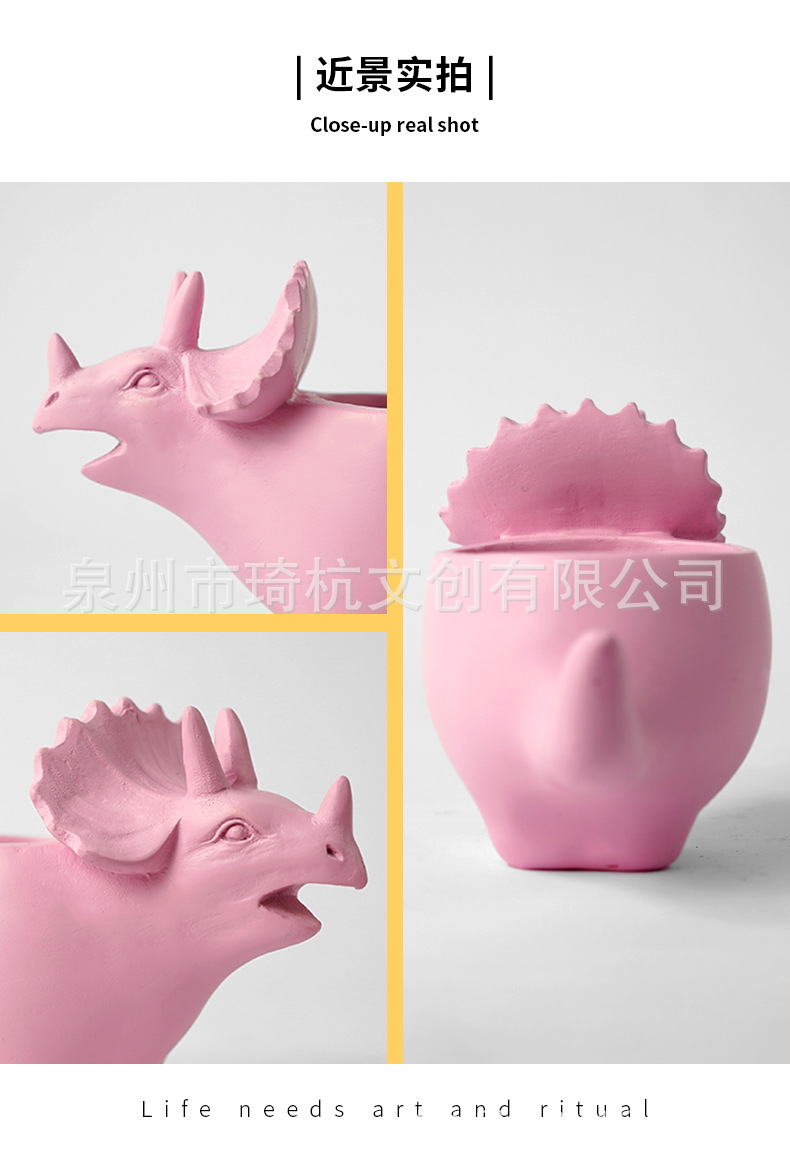 恐龙多肉_09.jpg