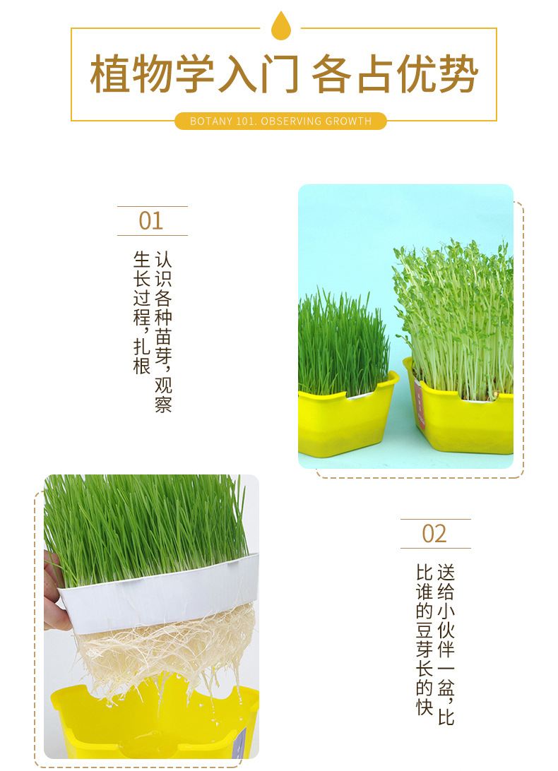 豆芽详情页_10.jpg?x-oss-process=image/format,png