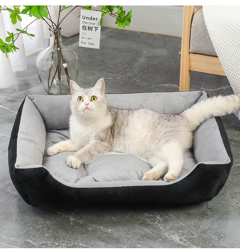 a2fc3077-27e7-4f97-a9d5-0c2d2fc711b9.jpe