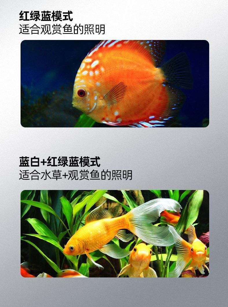 47378212-419e-46e7-96c4-3d90f2cd84a6.jpe