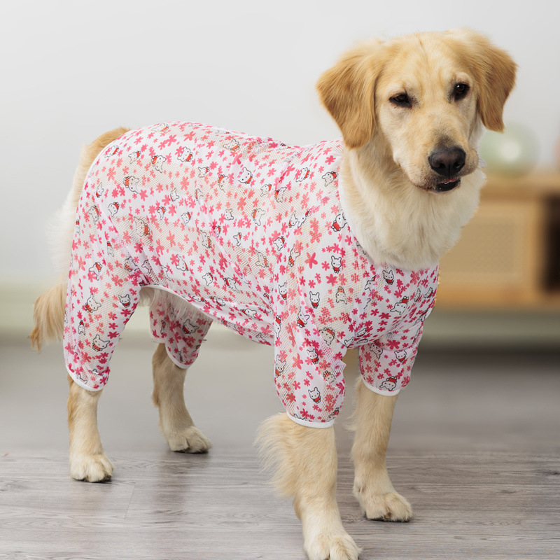 fd7f0d94-8894-4155-9538-ee04520e67f5.jpe