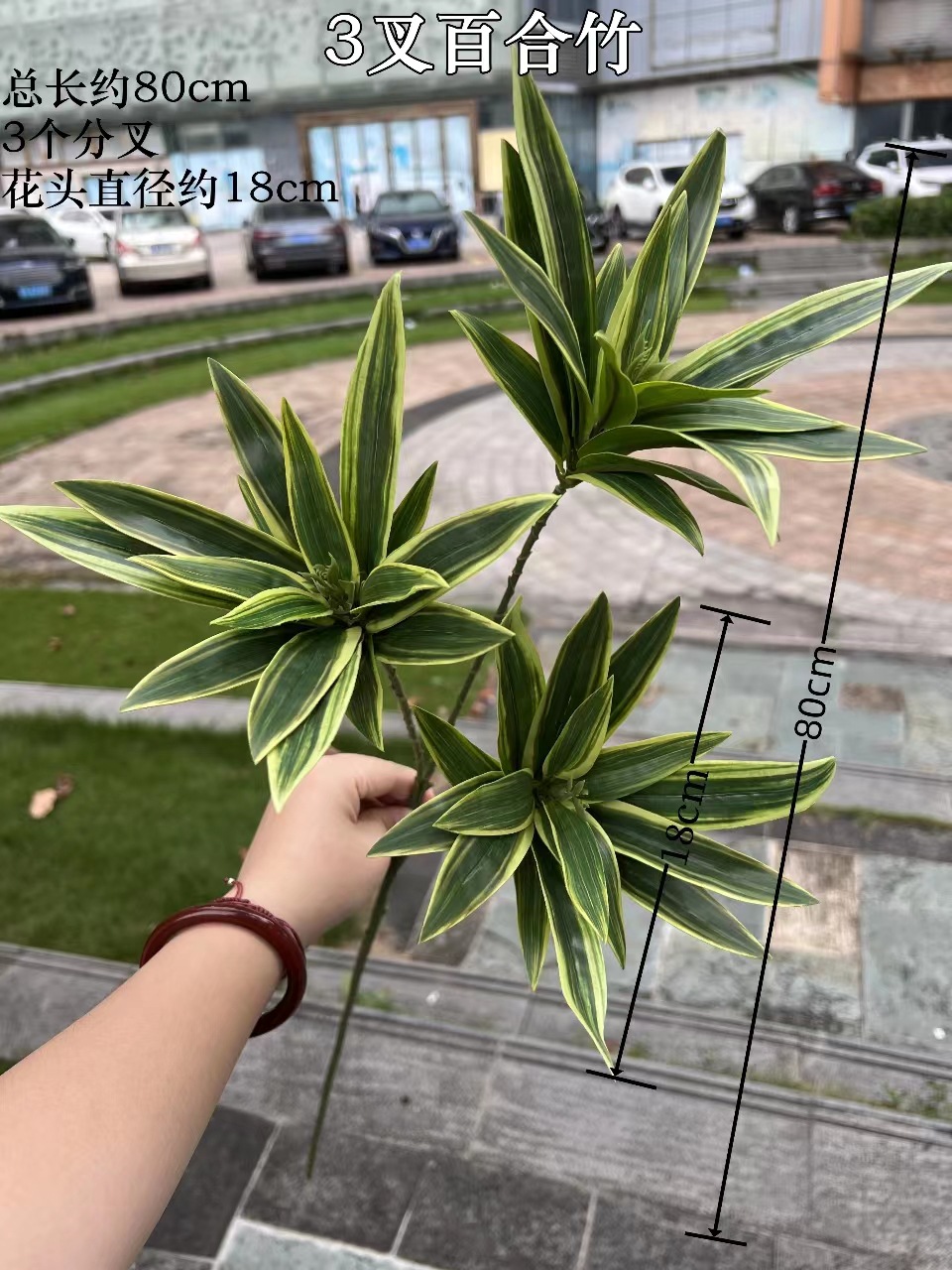 微信图片_20230831153450