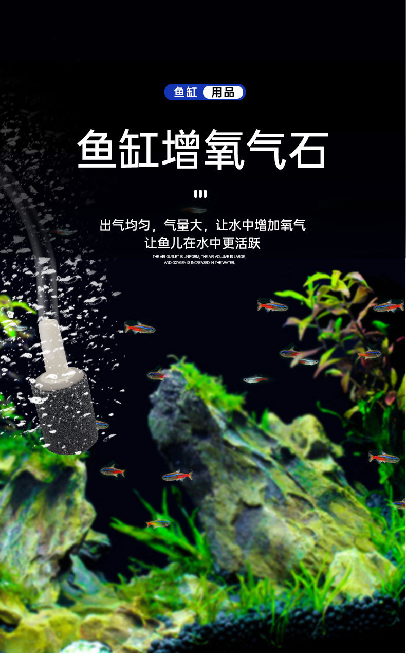 白详情_01.jpg