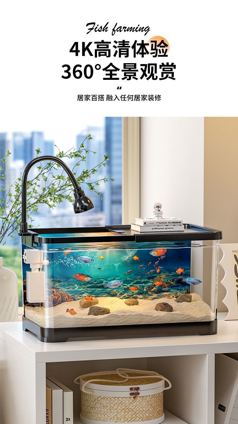 e51f8592-0eb2-4991-80c5-530ca2d6f9b5.jpe