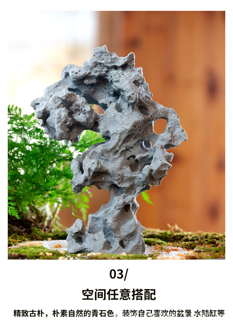 太湖石_18.jpg