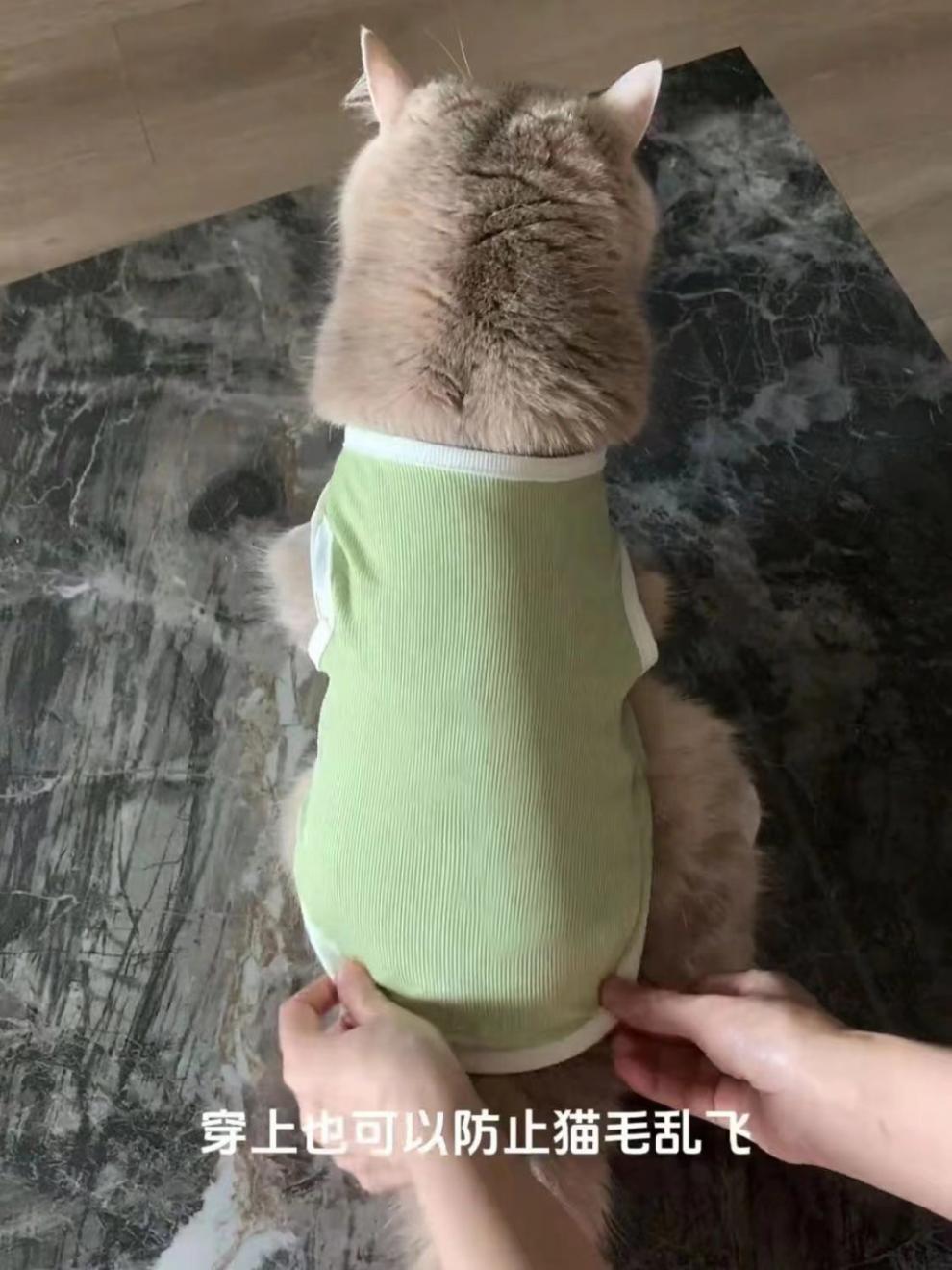 4301867c-72d0-4b6f-b4a3-f95dbbc24965.jpe