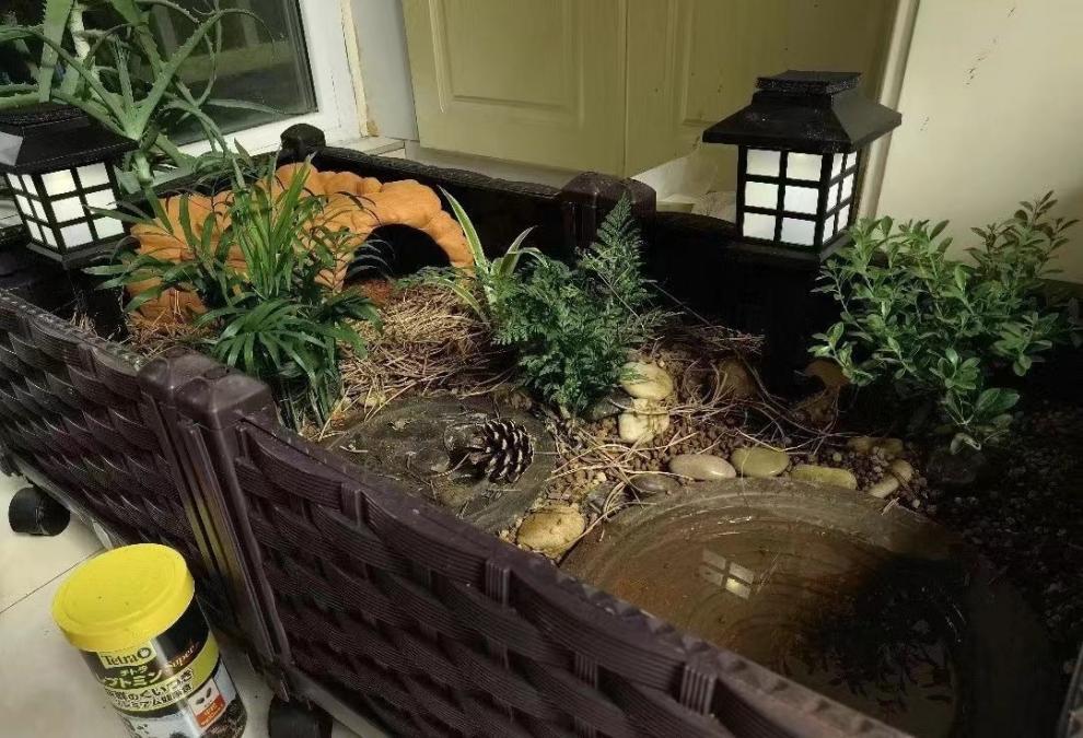 9ad375ef-d02c-431f-83ca-6577b849ba02.jpe