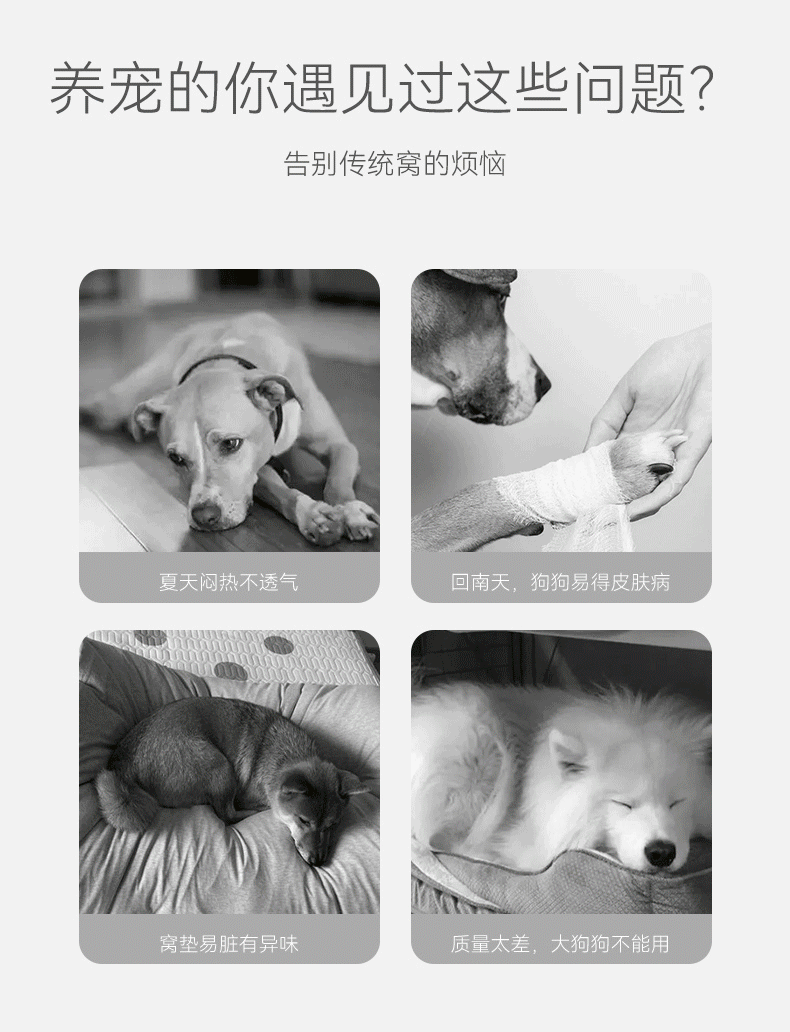 详情图片_02