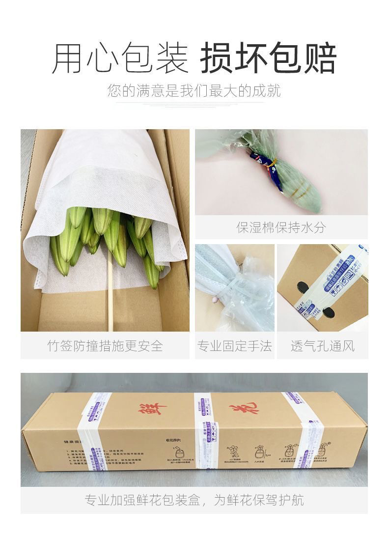 ff9a37b3-c7ce-4ff2-8b52-1fee45efe57e.jpe