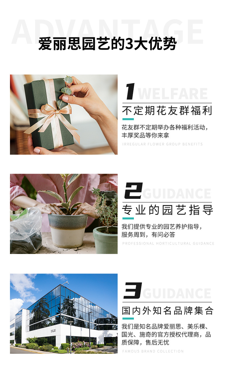 FLOWL长钵详情_13.jpg