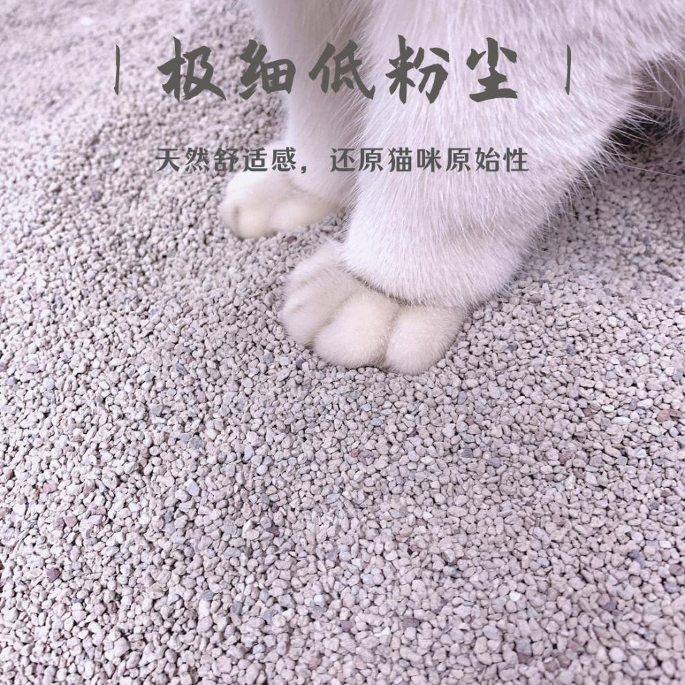 bf46a7ee-f8c1-4033-9ed8-5e7bcf176311.jpe