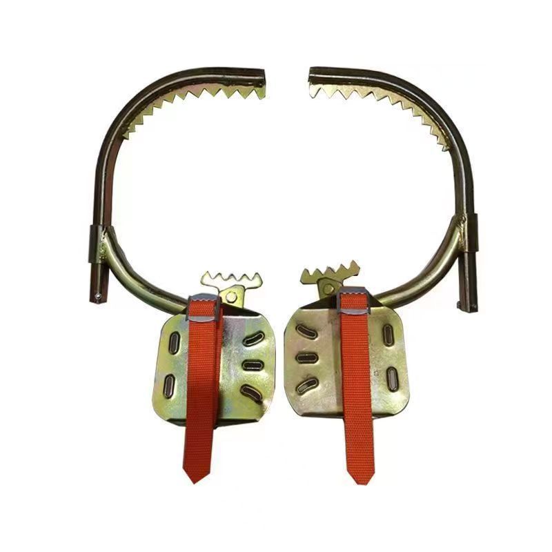 微信图片_20250421234112_148