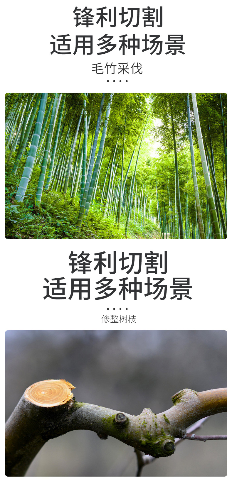 修枝工锯2_05.jpg