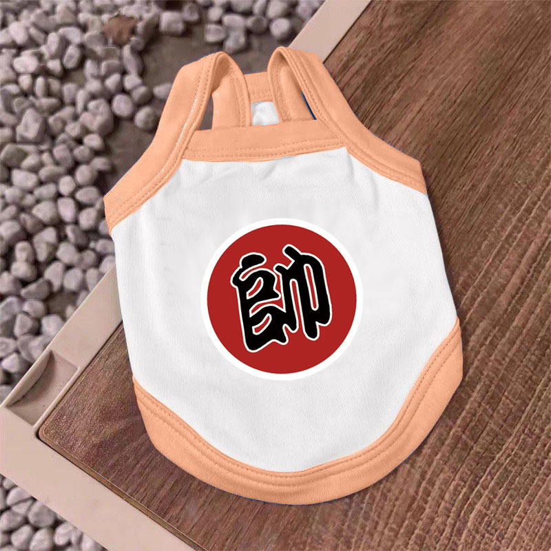 002-白拉粉-帅