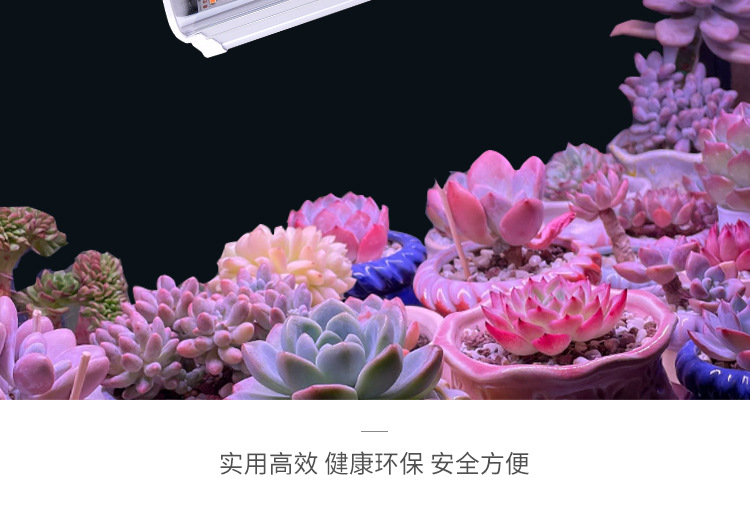 详情页--改_02.jpg